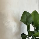 선헤어 | 🩶병점 남자파마 &#34;선헤어&#34; 다운펌 방문솔직후기🩶