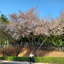 KTX 서대구역 이미지