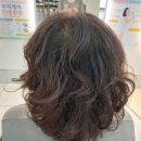 천연머리염색 세이프존 이미지