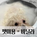 진산학생교육원 꿈키움학교 | 광주 국비지원 애견미용학원 국민내일배움카드로 자격증부터 창업까지 한 번에!