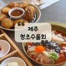 [제주 맛집] 가족들과 함께 가기 좋은 애월 맛집 &#34;청초수물회&#34; 후기