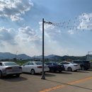 셀세모 이미지