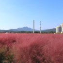 광사1천 이미지