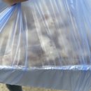 씨월드 관광호텔 이미지