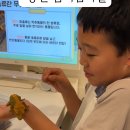 팀버렙타일 이미지