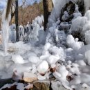 120.산림욕장_1 이미지