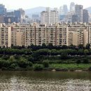 강남-295 이미지