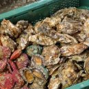 순애민박 이미지