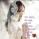 얌스 - 전주시 완산구 호암로 21 | 얌스