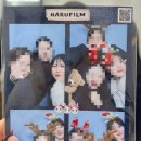 스텔라의 행복정원 이미지
