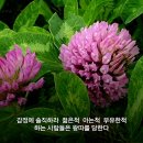 도리도리 - 달서구 | 도리도리