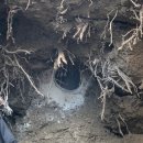 코아&2060 이미지