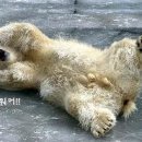 최현우 더브레인 이미지