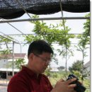 새빛요한의집 이미지