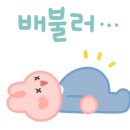 스시교메이