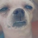 또또코리아 이미지