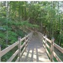 금강솔바람길 이미지