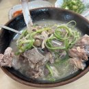 닥그네할망 네이버블로그