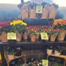 동부슈퍼마켓 | 웨그먼스(Wegmans) 슈퍼마켓 분위기, 장보기 후기