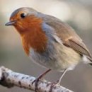 방림1동 행정복지센터 이미지