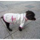 엄마손 동물병원 이미지