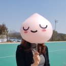 하루마카롱 이미지