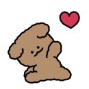 강아지 유치원 caredogs 이미지