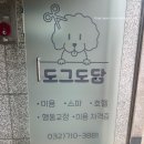 남촌 초등학교 | [인천 남동구] 도그도담_인천 애견미용 추천/구월동 애견미용 잘하는곳