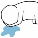 씨포 이미지