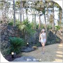 제주도 가족 숙박 제주 실내수영장 풀빌라 추천 서쪽 한림 독채 펜션 후기