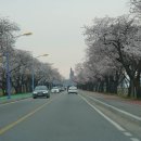 공운삼거리 네이버블로그
