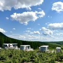 연길농장 이미지