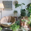 홈가드닝 이미지