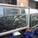 내고향매운탕 이미지