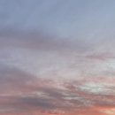 제주에선 쪼끌락 이미지