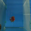 워터월드코리아 이미지