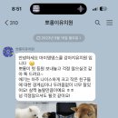 댕댕스쿨 이미지