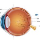 밝은누리안과의원 이미지