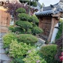 환화원 | 사계절 자연 감성까지 누리는 강화도펜션, 환화원에서 진짜 힐링 여행 어때요?