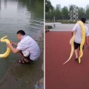 황금공원 이미지