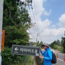 제주가시리 태양광발전소 | 따라비오름 - 세 개의 굼부리와 여섯 봉우리