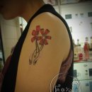 스킨아트 이미지