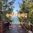 송악산 숲길 | 제주 서쪽 코스 송악산 둘레길 소요시간 꼭 한번은 걸어봐야 할 인생 산책로