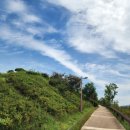 미사한강2호공원 이미지