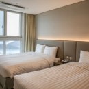 뽑고 더블로 가 이미지