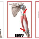 머슬엑스짐 네이버블로그