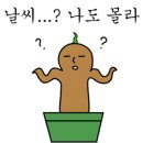 더린넨2017 이미지