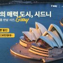 (주)라인트레블 이미지