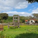 제주 올레길 13코스 이미지