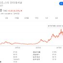 스타인터내셔널 이미지
